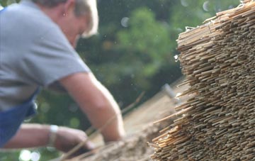 professional Colesbrook thatchers